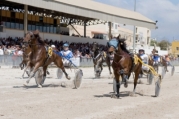 41st horse-racing meeting – This Friday 17th September